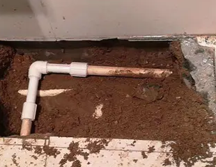 平凉测漏水哪家好