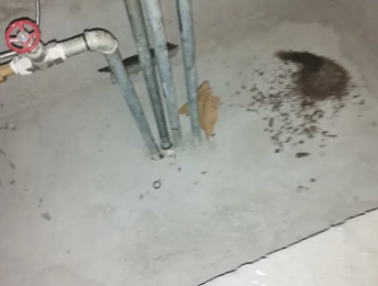 平凉卫生间测漏水价格明细