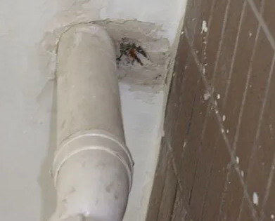 平凉漏水检测哪家好